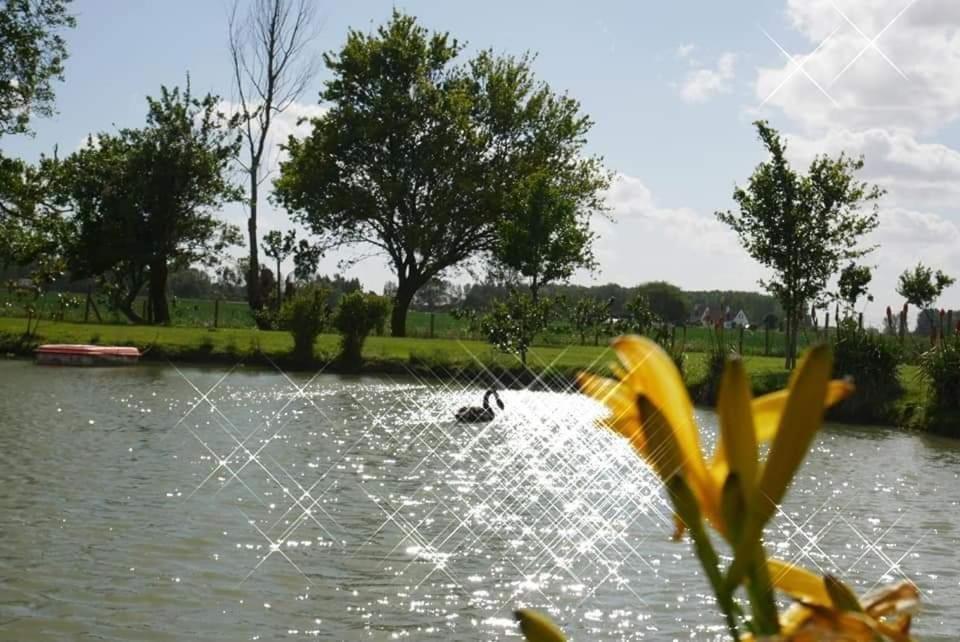 Gite Canard Fromelles Экстерьер фото
