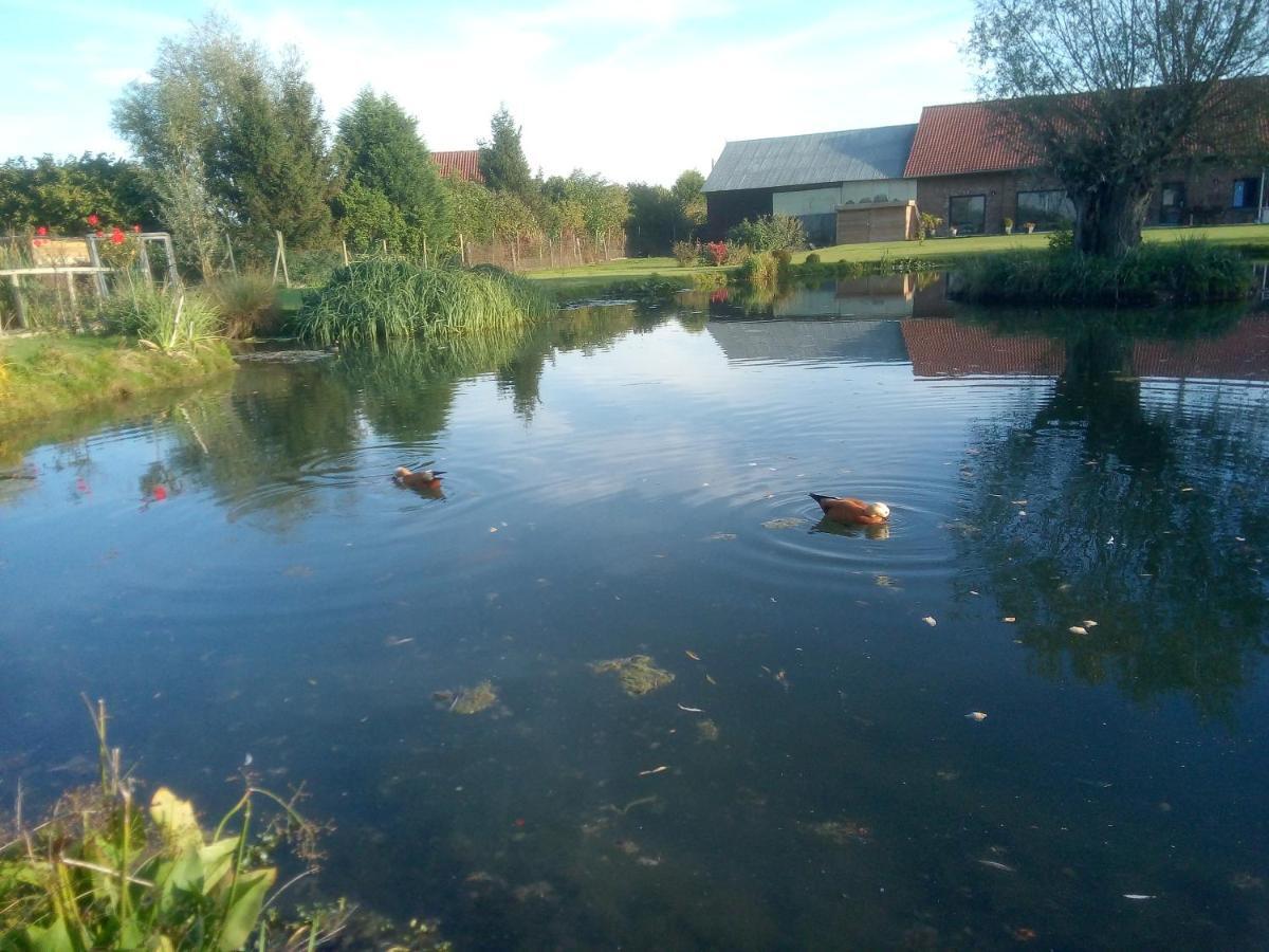Gite Canard Fromelles Экстерьер фото